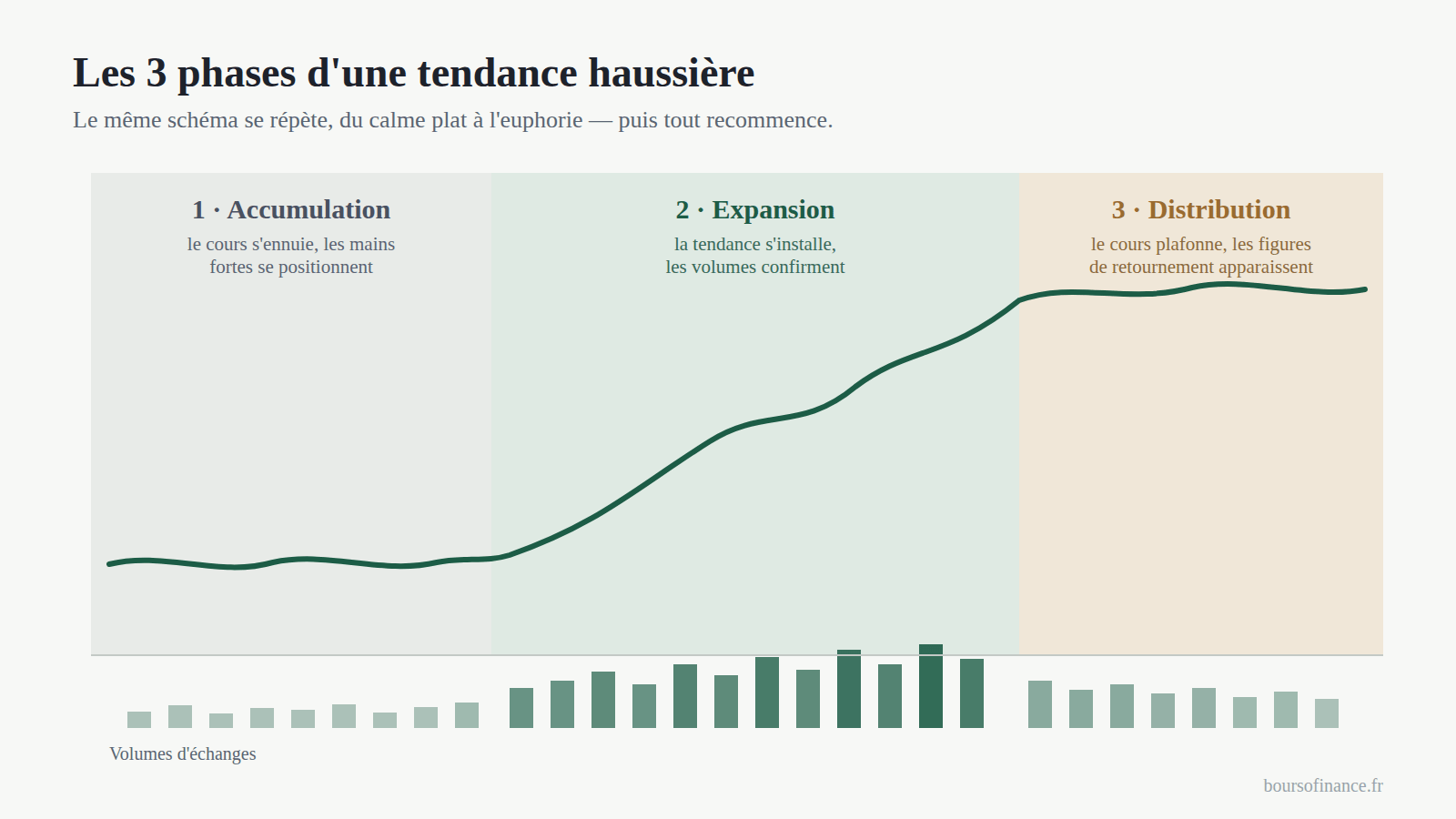 Infographie : les 3 phases d'une tendance haussière — accumulation, expansion, distribution